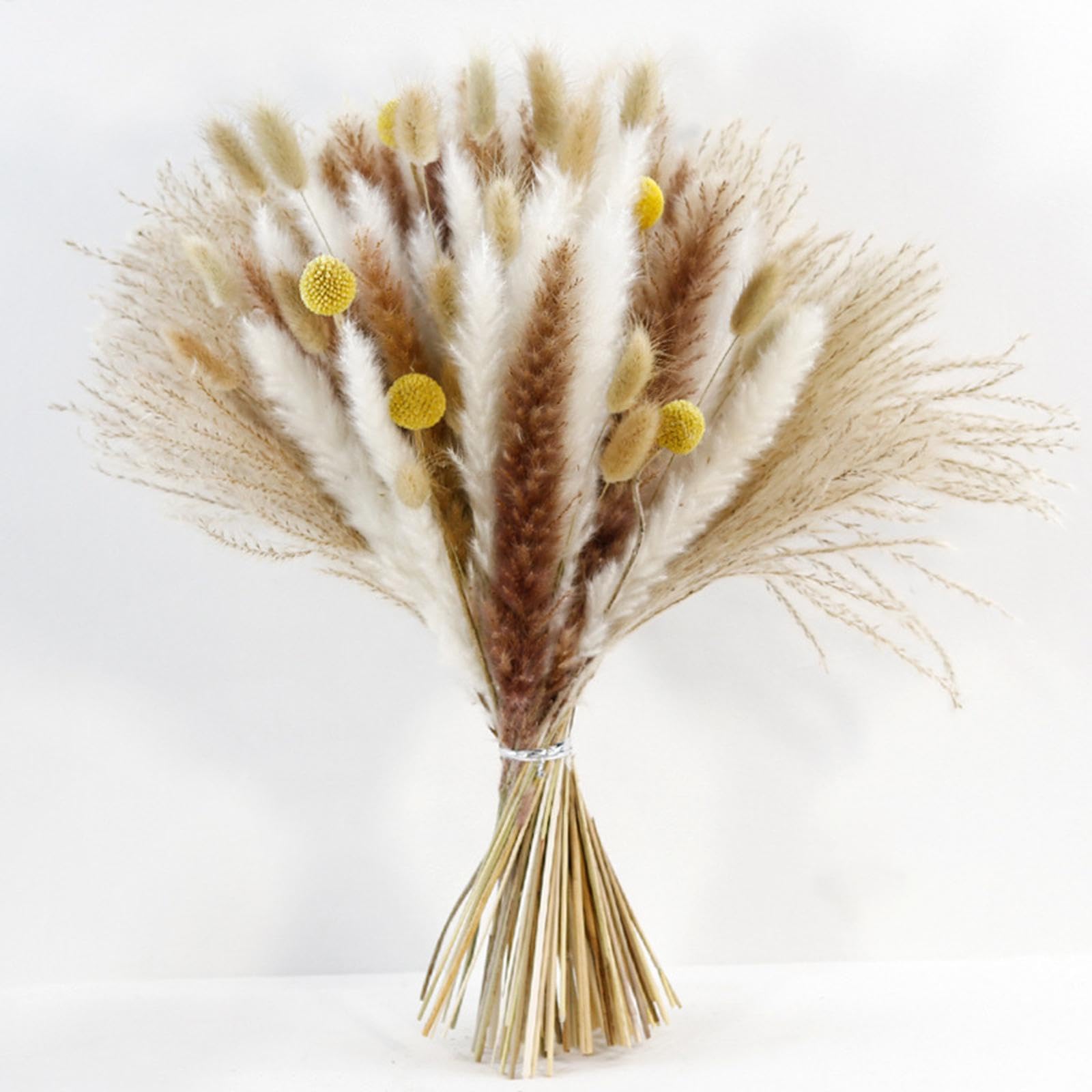 Amazon｜GUOOL 天然ススキの花束 装飾的なドライフラワーの枝バンドル